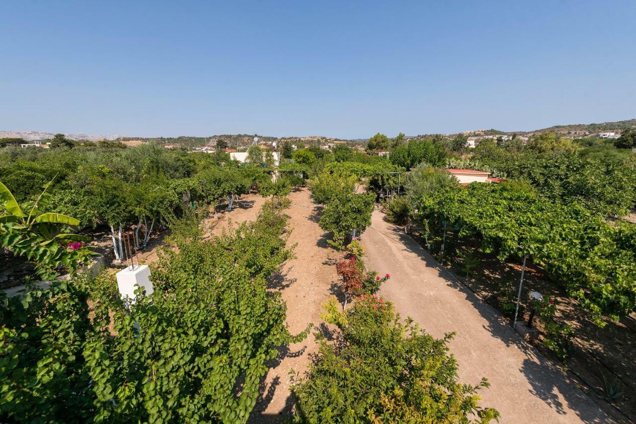 Eleftherias Garden House Afantou Buitenkant foto